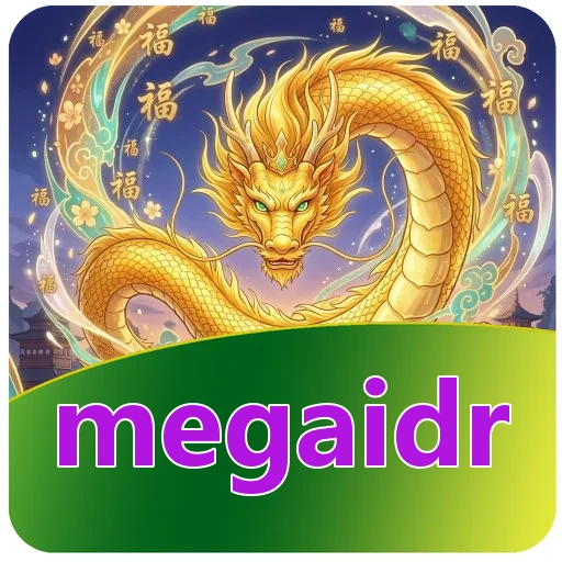 Troubleshooting megaidr